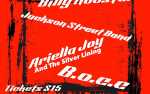 Billy Rooster, Ariella Joy,  B.O.C.C,  Jackson Street Band